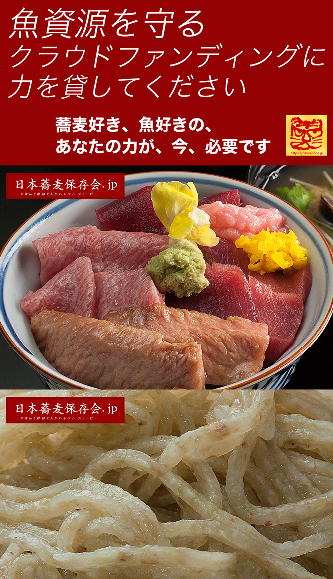 8月12日の講座