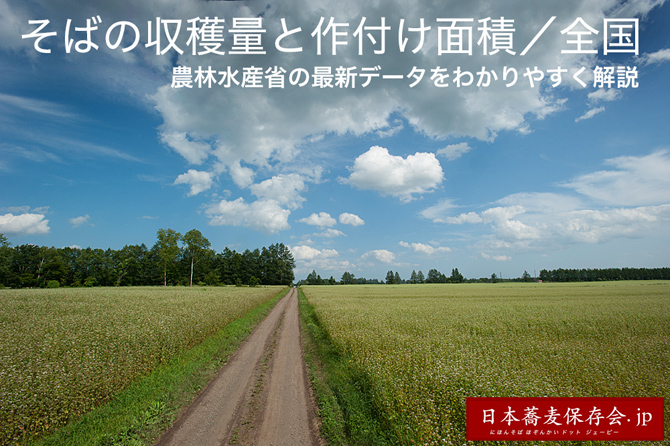 8月12日の講座